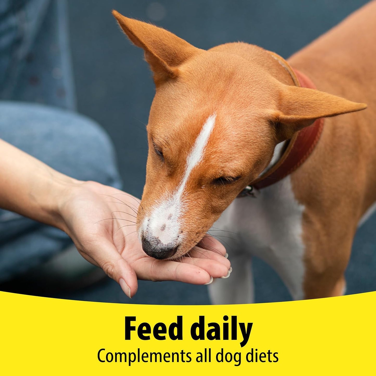 Vetzyme | Dog Vitamins and Supplements, Contains B Plus E for Joint and Mobility