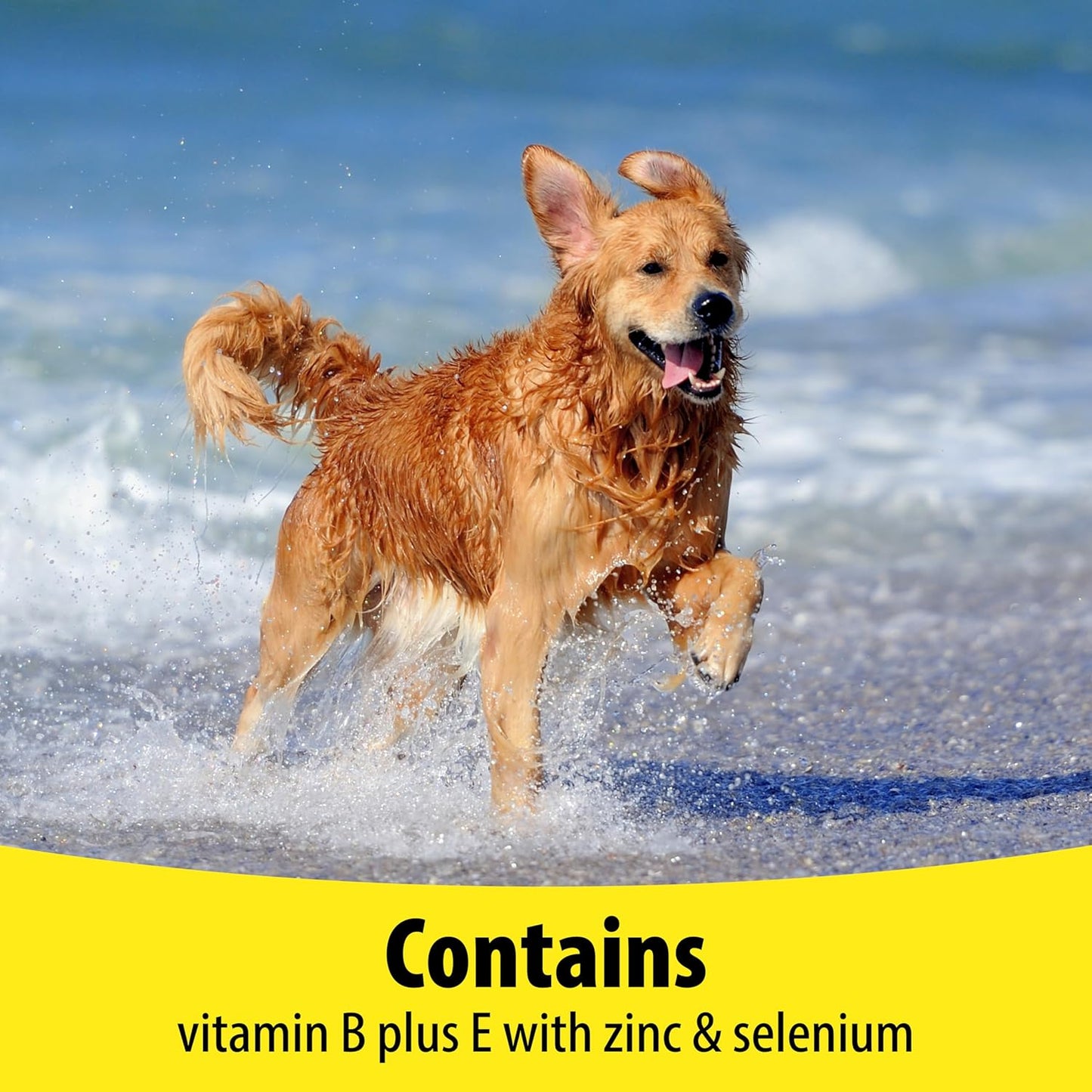 Vetzyme | Dog Vitamins and Supplements, Contains B Plus E for Joint and Mobility